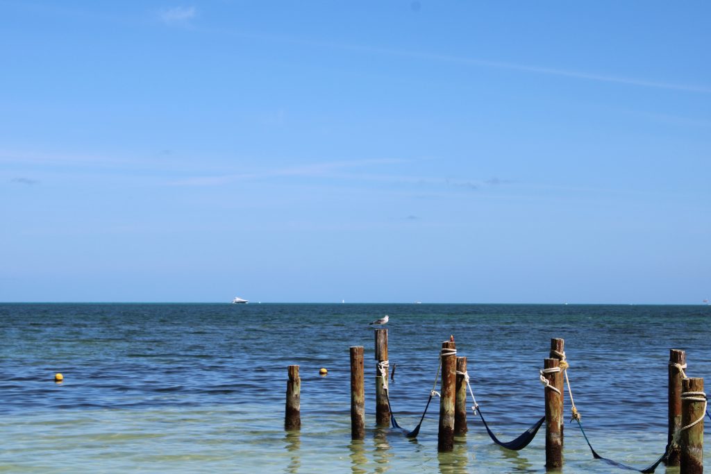 muelle